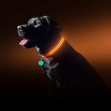 Cargar imagen en el visor de la galería, Collar de Seguridad Luminoso para Perros BestGadgetTrends
