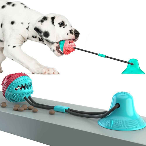 Juguete Masticable Perros con Ventosa BestGadgetTrends