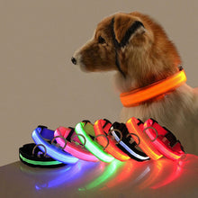 Cargar imagen en el visor de la galería, Collar de Seguridad Luminoso para Perros BestGadgetTrends
